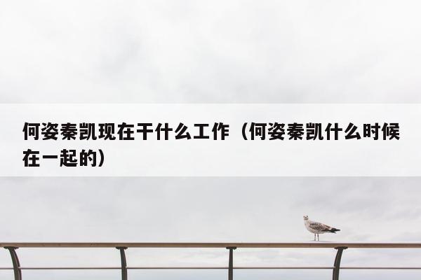 何姿秦凯现在干什么工作（何姿秦凯什么时候在一起的）