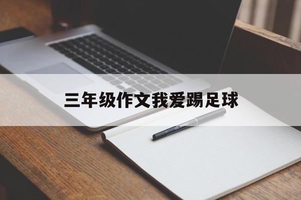 三年级作文我爱踢足球（我爱踢足球作文350字左右）