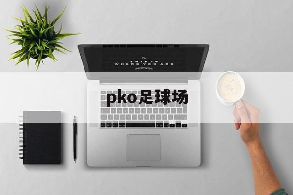 pko足球场（足球场全景图片）