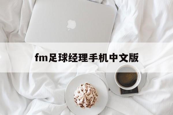 fm足球经理手机中文版（fm足球经理手机中文版 苹果）