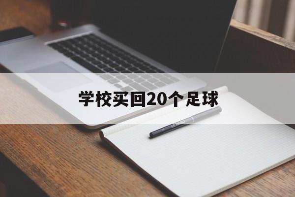 学校买回20个足球（学校里买回足球23个,比买回的蓝球多14个,共有多少个球）