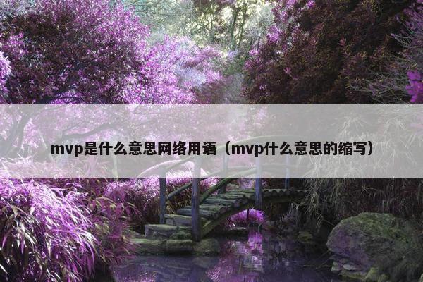 mvp是什么意思网络用语（mvp什么意思的缩写）