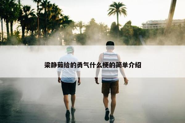 梁静茹给的勇气什么梗的简单介绍