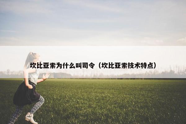 坎比亚索为什么叫司令（坎比亚索技术特点）