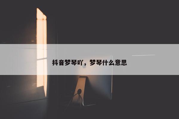 抖音梦琴吖，梦琴什么意思