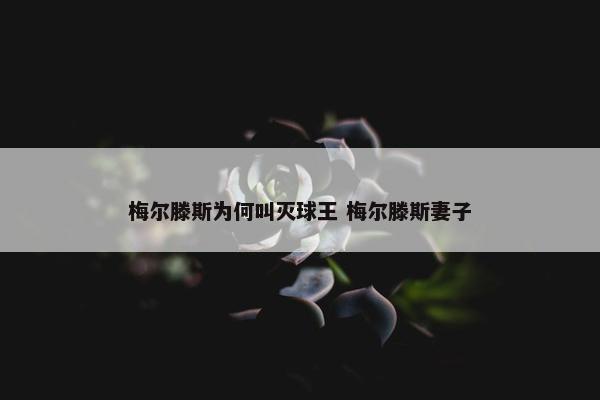 梅尔滕斯为何叫灭球王 梅尔滕斯妻子