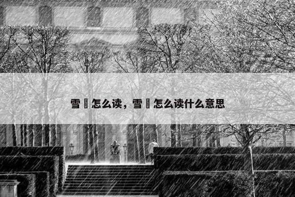 雪鸮怎么读，雪鸮怎么读什么意思