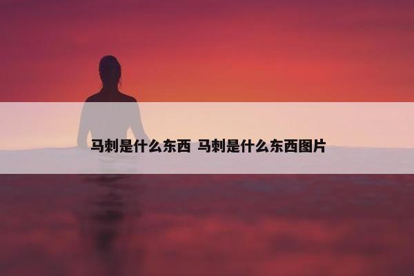 马刺是什么东西 马刺是什么东西图片