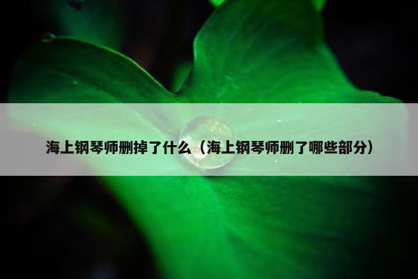 海上钢琴师删掉了什么（海上钢琴师删了哪些部分）