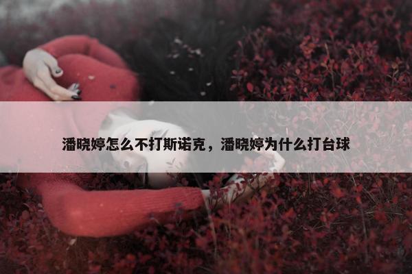 潘晓婷怎么不打斯诺克，潘晓婷为什么打台球