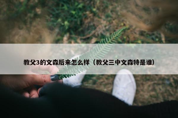 教父3的文森后来怎么样（教父三中文森特是谁）