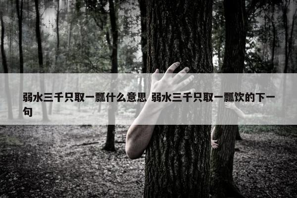 弱水三千只取一瓢什么意思 弱水三千只取一瓢饮的下一句