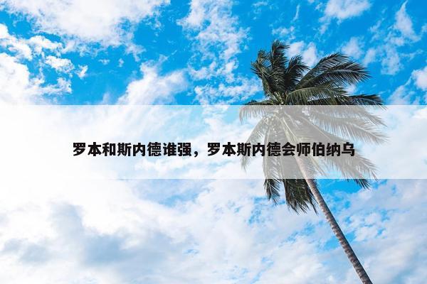 罗本和斯内德谁强，罗本斯内德会师伯纳乌