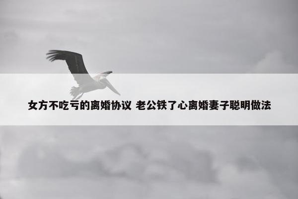 女方不吃亏的离婚协议 老公铁了心离婚妻子聪明做法