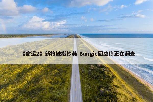 《命运2》新枪被指抄袭 Bungie回应称正在调查