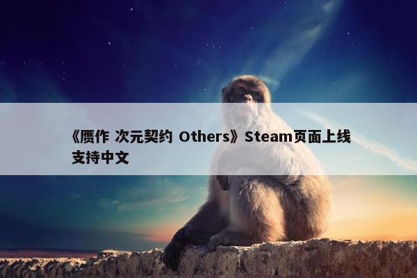 《赝作 次元契约 Others》Steam页面上线 支持中文