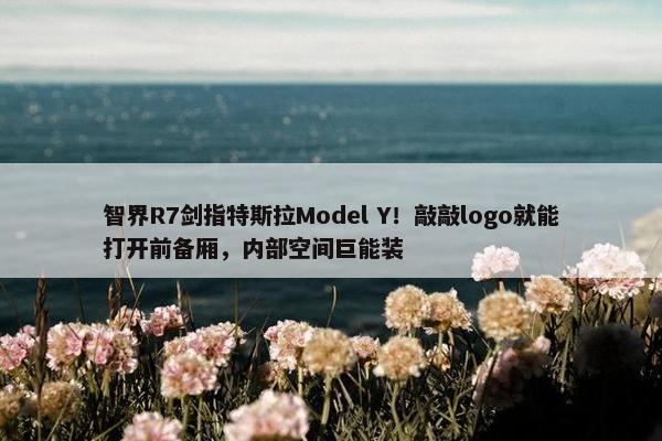 智界R7剑指特斯拉Model Y！敲敲logo就能打开前备厢，内部空间巨能装