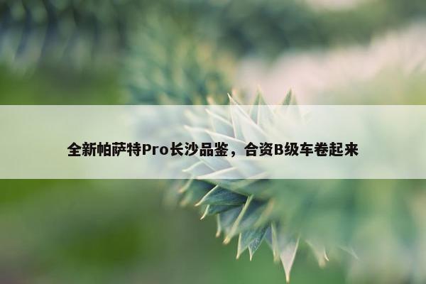 全新帕萨特Pro长沙品鉴，合资B级车卷起来