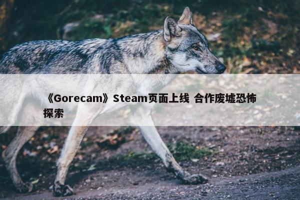 《Gorecam》Steam页面上线 合作废墟恐怖探索