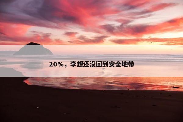 20%，李想还没回到安全地带