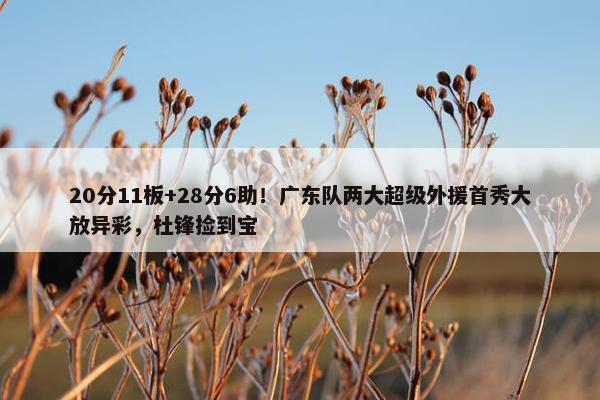 20分11板+28分6助！广东队两大超级外援首秀大放异彩，杜锋捡到宝