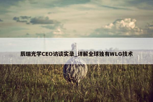 辰瑞光学CEO访谈实录_详解全球独有WLG技术