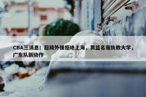 CBA三消息！超级外援拒绝上海，男篮名宿执教大学，广东队新动作