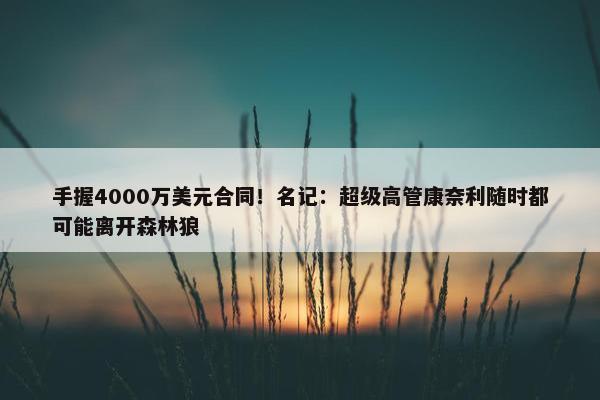 手握4000万美元合同！名记：超级高管康奈利随时都可能离开森林狼