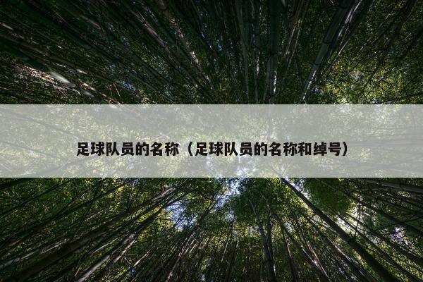 足球队员的名称（足球队员的名称和绰号）