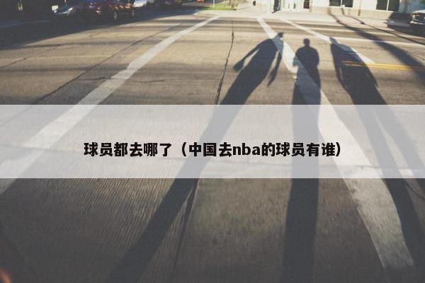 球员都去哪了（中国去nba的球员有谁）