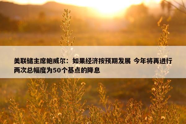 美联储主席鲍威尔：如果经济按预期发展 今年将再进行两次总幅度为50个基点的降息