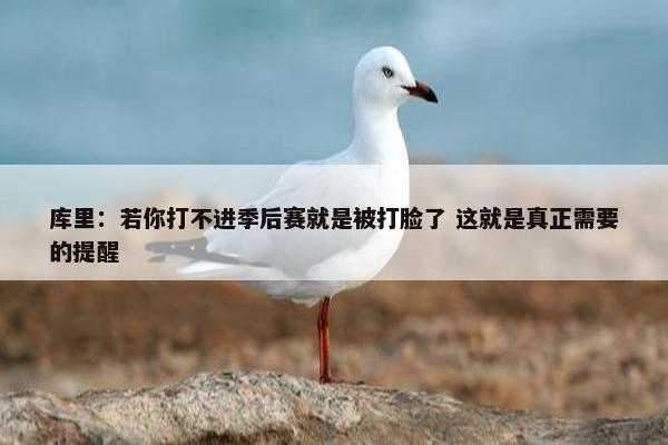 库里：若你打不进季后赛就是被打脸了 这就是真正需要的提醒