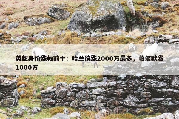 英超身价涨幅前十：哈兰德涨2000万最多，帕尔默涨1000万