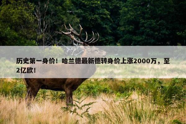 历史第一身价！哈兰德最新德转身价上涨2000万，至2亿欧！