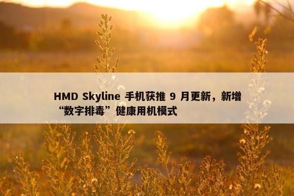 HMD Skyline 手机获推 9 月更新，新增“数字排毒”健康用机模式