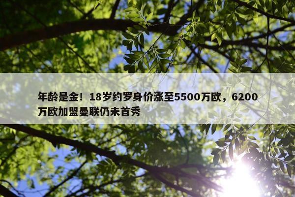 年龄是金！18岁约罗身价涨至5500万欧，6200万欧加盟曼联仍未首秀