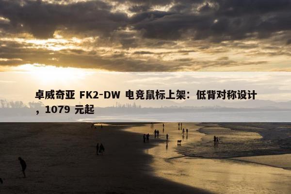 卓威奇亚 FK2-DW 电竞鼠标上架：低背对称设计，1079 元起