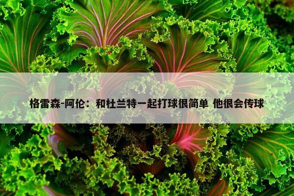 格雷森-阿伦：和杜兰特一起打球很简单 他很会传球