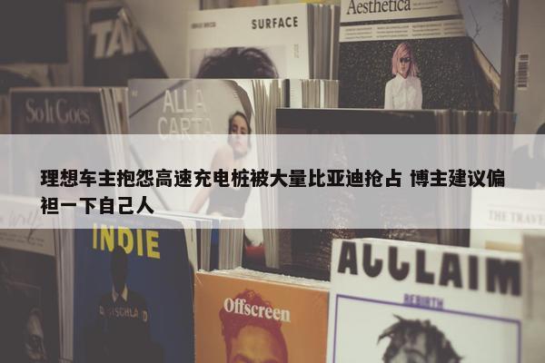 理想车主抱怨高速充电桩被大量比亚迪抢占 博主建议偏袒一下自己人