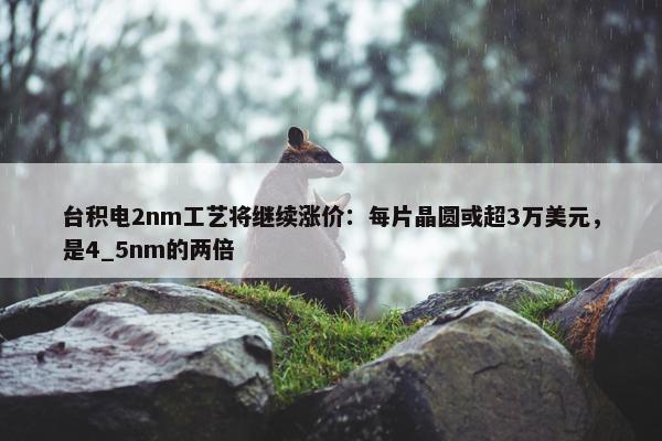 台积电2nm工艺将继续涨价：每片晶圆或超3万美元，是4_5nm的两倍