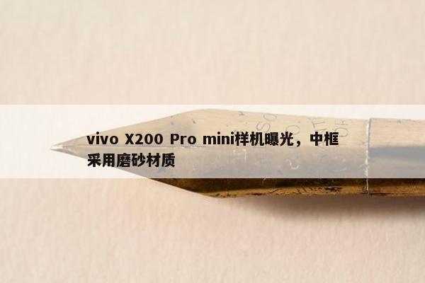 vivo X200 Pro mini样机曝光，中框采用磨砂材质