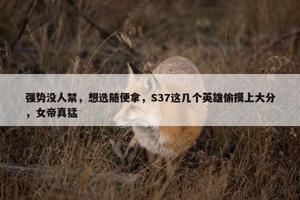 强势没人禁，想选随便拿，S37这几个英雄偷摸上大分，女帝真猛