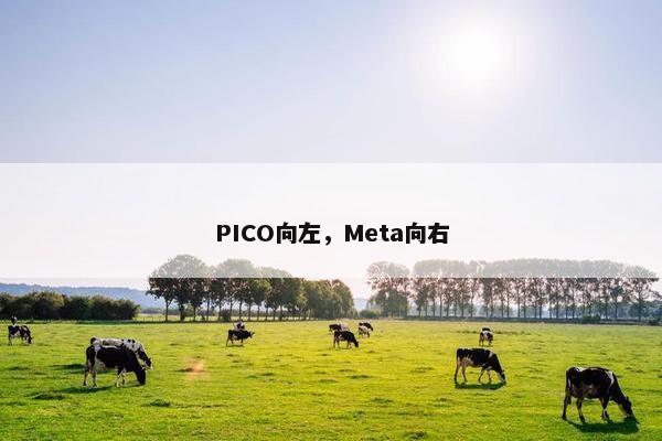 PICO向左，Meta向右