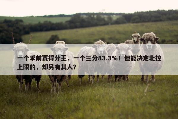 一个季前赛得分王，一个三分83.3%！但能决定北控上限的，却另有其人？