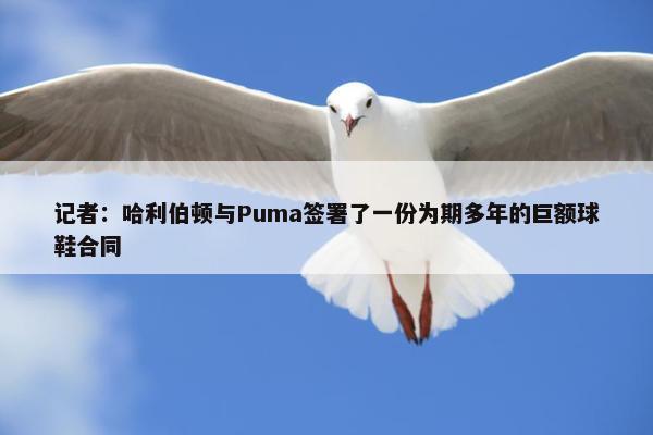 记者：哈利伯顿与Puma签署了一份为期多年的巨额球鞋合同