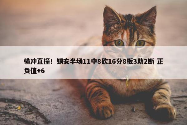 横冲直撞！锡安半场11中8砍16分8板3助2断 正负值+6