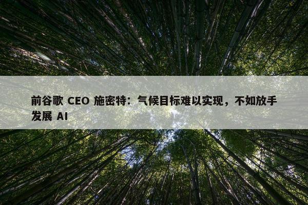 前谷歌 CEO 施密特：气候目标难以实现，不如放手发展 AI