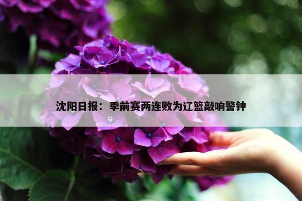 沈阳日报：季前赛两连败为辽篮敲响警钟