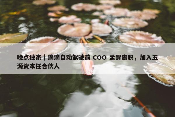 晚点独家｜滴滴自动驾驶前 COO 孟醒离职，加入五源资本任合伙人