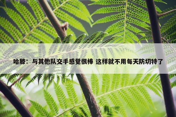 哈滕：与其他队交手感觉很棒 这样就不用每天防切特了